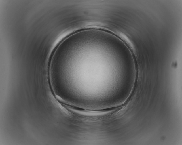 X0000090631384200707311256