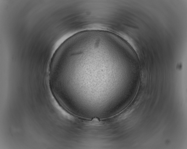 X0000090631387200707311256