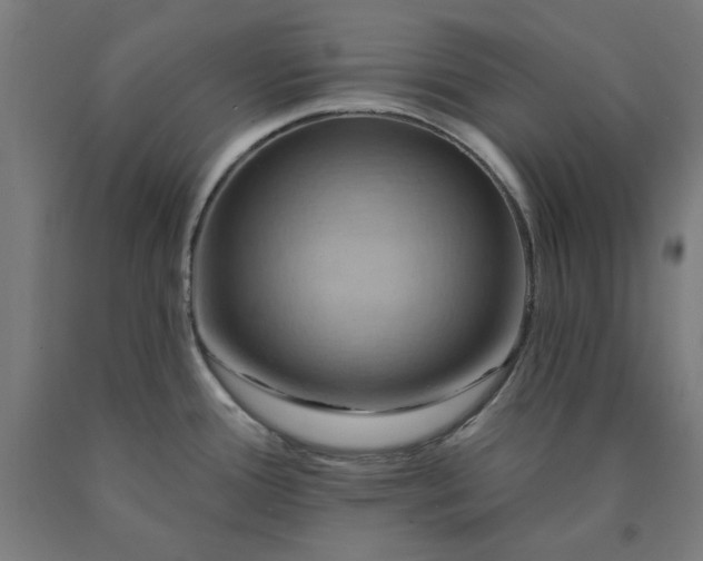 X0000090631388200707311256