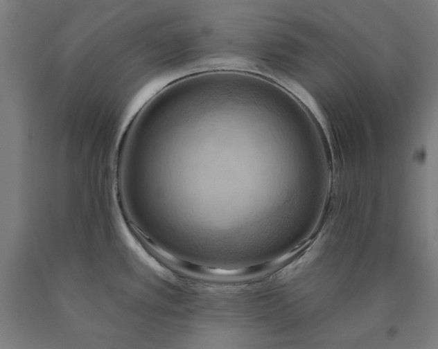 X0000090631389200707311256