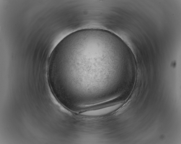 X0000090631390200707311256