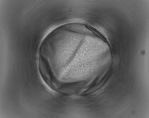 X0000090631391200707311256