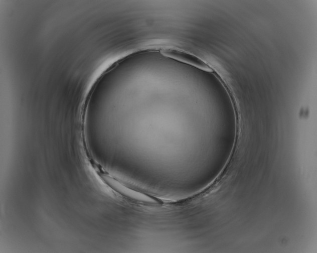 X0000090631392200707311256