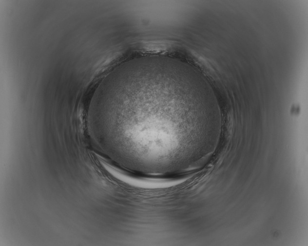 X0000090631394200707311255