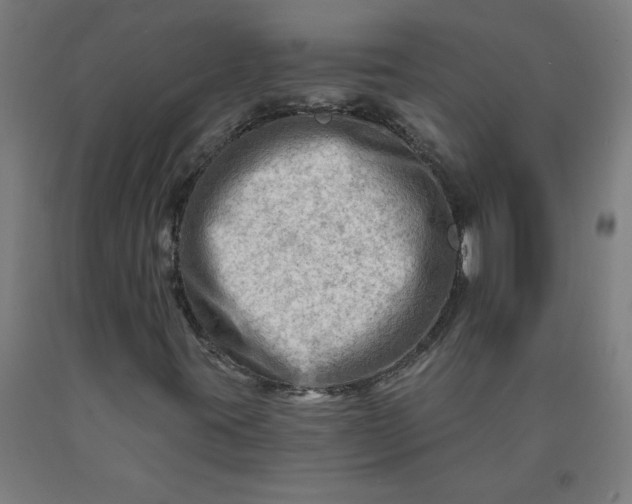 X0000090631395200707311255