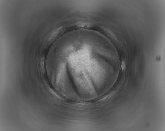 X0000090631396200707311255