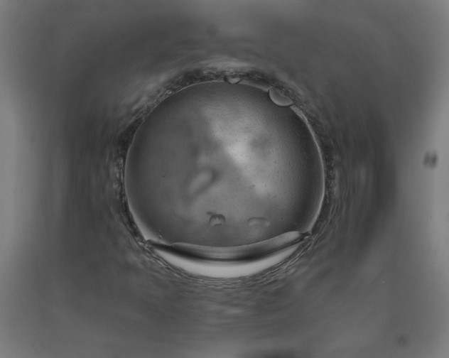 X0000090631397200707311255