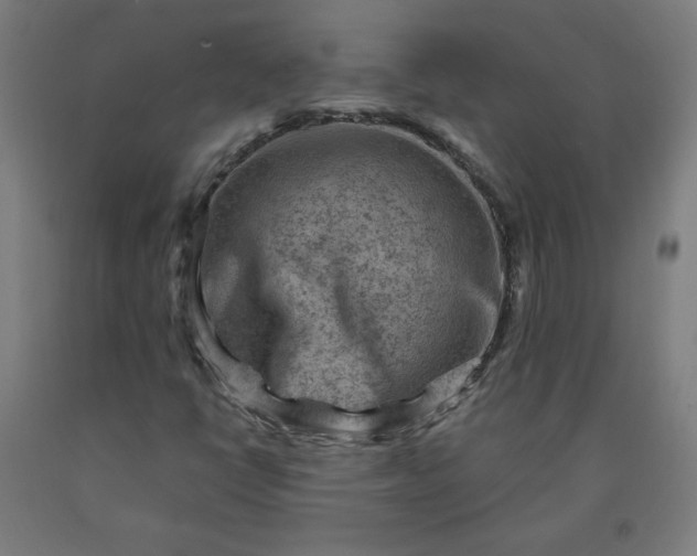 X0000090631398200707311255