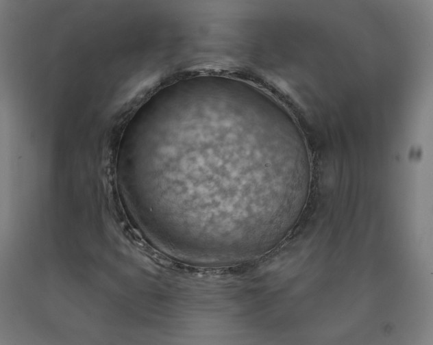 X0000090631399200707311255