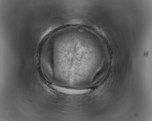 X0000090631400200707311255