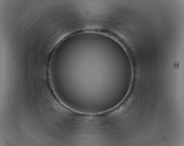 X0000090631401200707311255