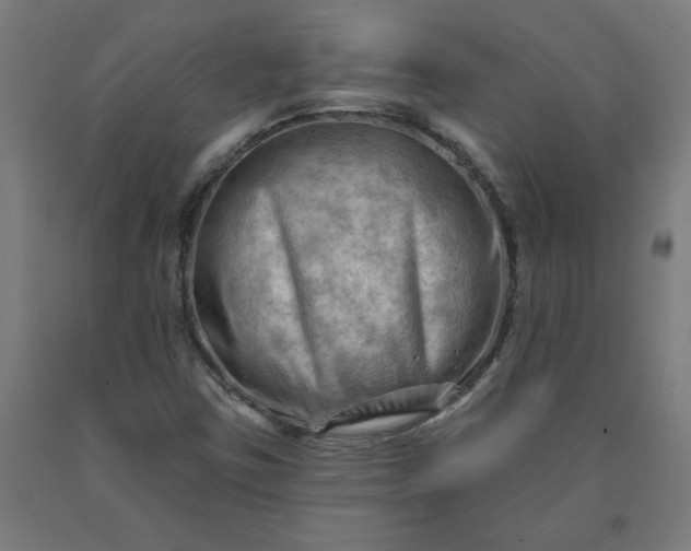 X0000090631403200707311255