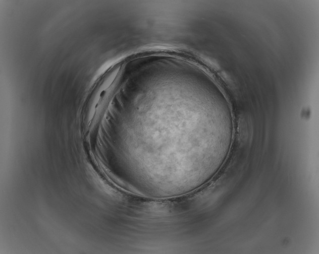 X0000090631404200707311255