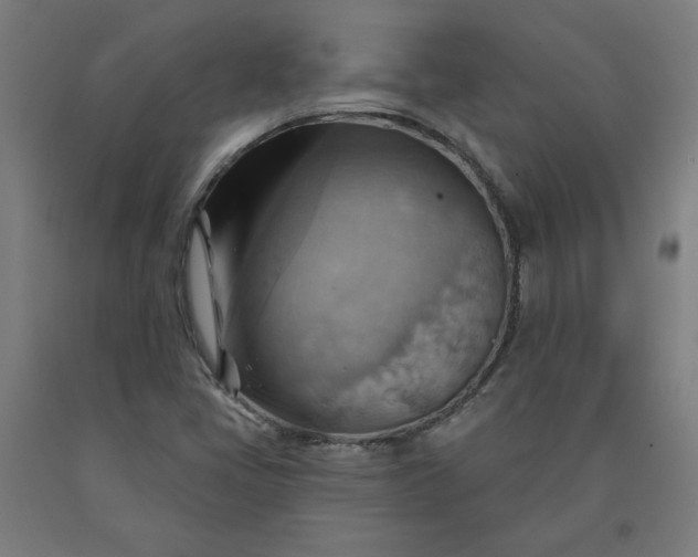 X0000090631405200707311255
