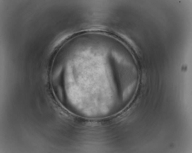 X0000090631407200707311255