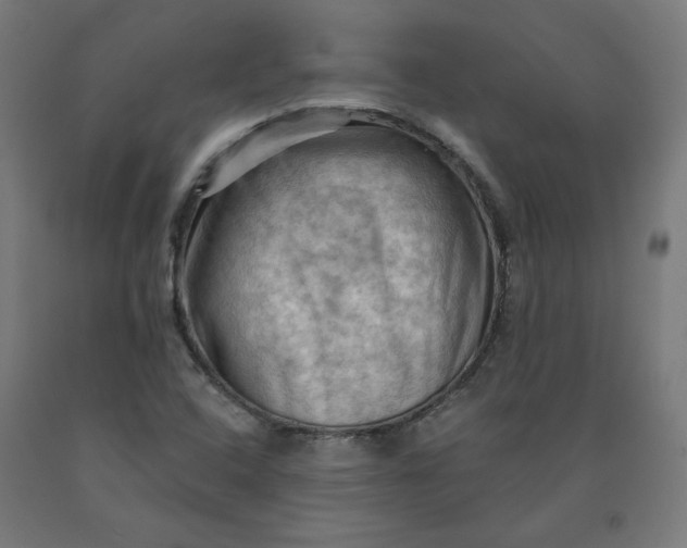 X0000090631408200707311255