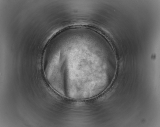 X0000090631409200707311255