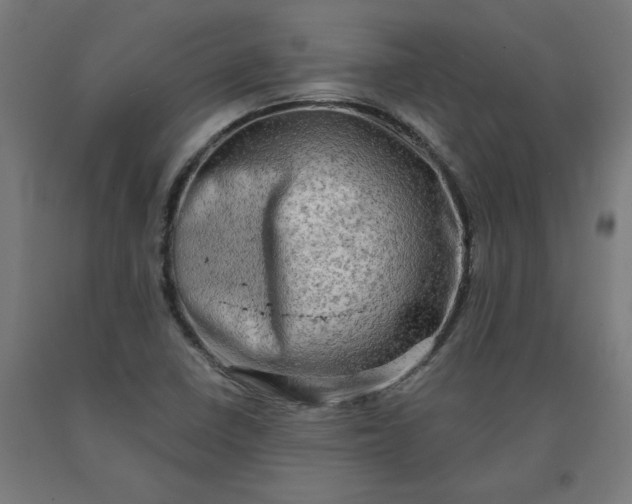 X0000090631410200707311255