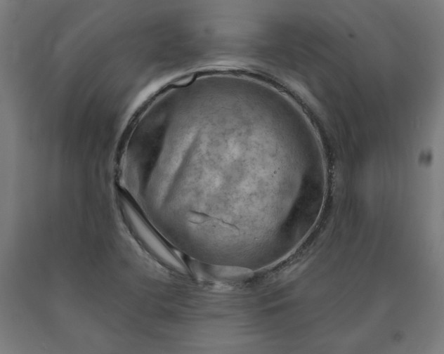 X0000090631412200707311255