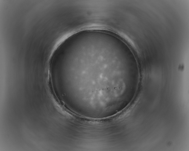 X0000090631413200707311255