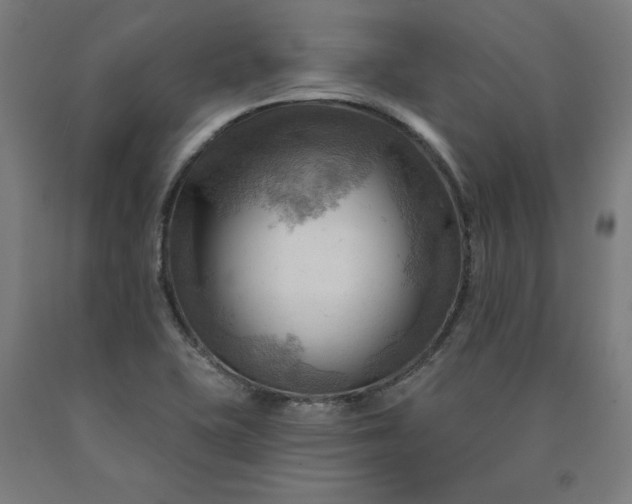 X0000090631415200707311255