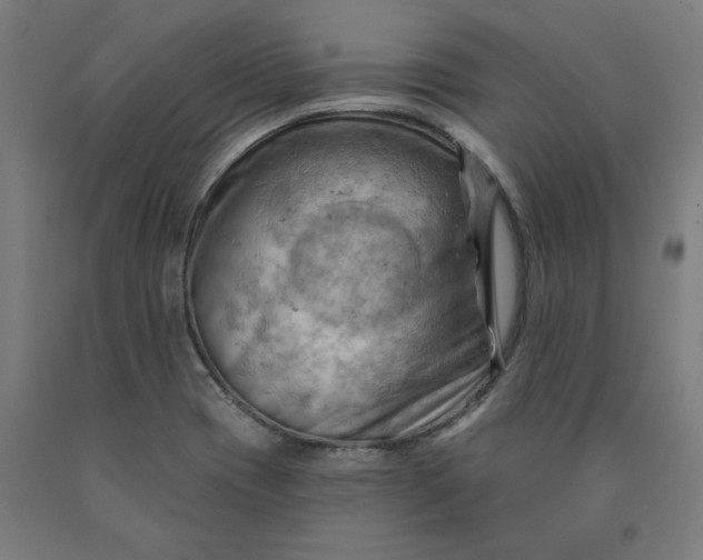 X0000090631417200707311255