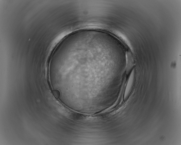 X0000090631419200707311255