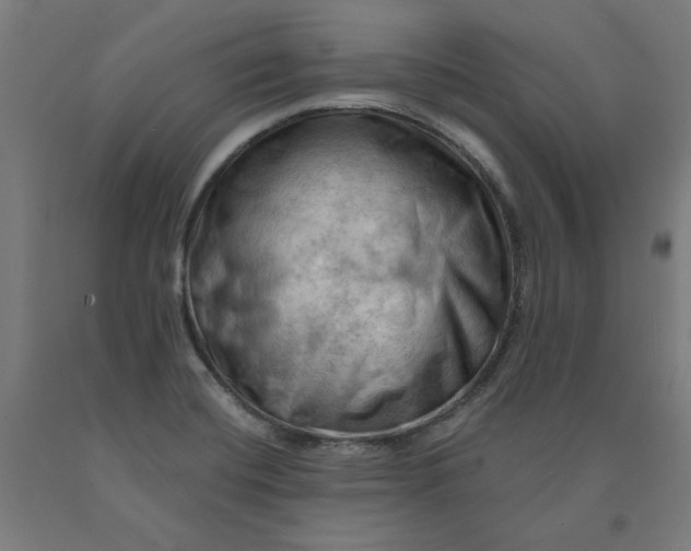 X0000090631420200707311255