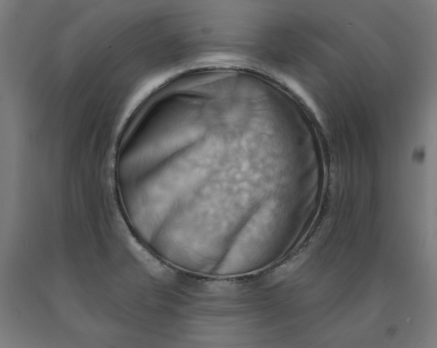 X0000090631421200707311255