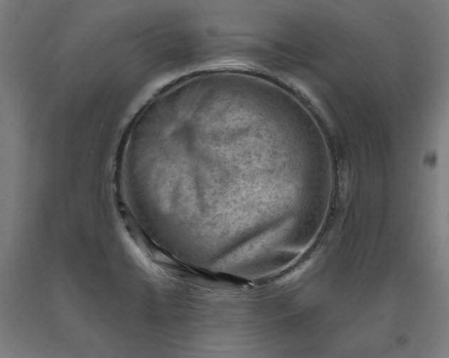 X0000090631422200707311255