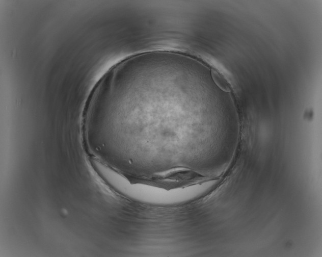 X0000090631423200707311256