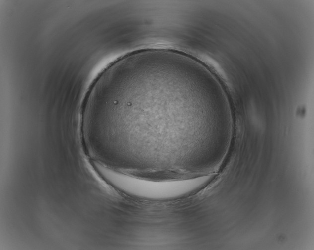 X0000090631424200707311256