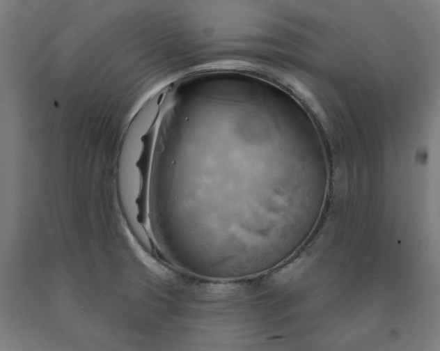 X0000090631425200707311256