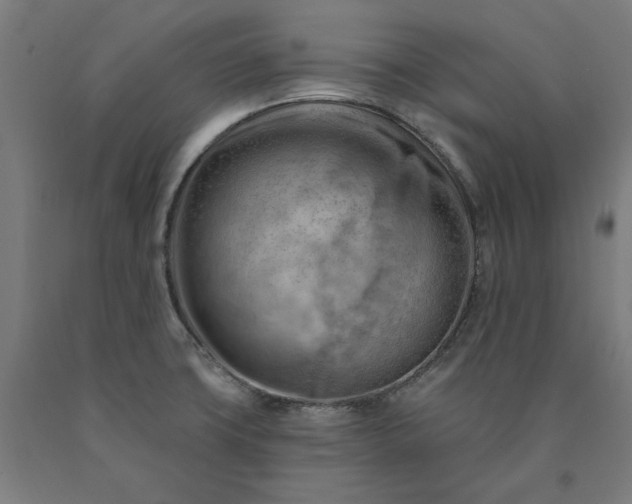 X0000090631427200707311256