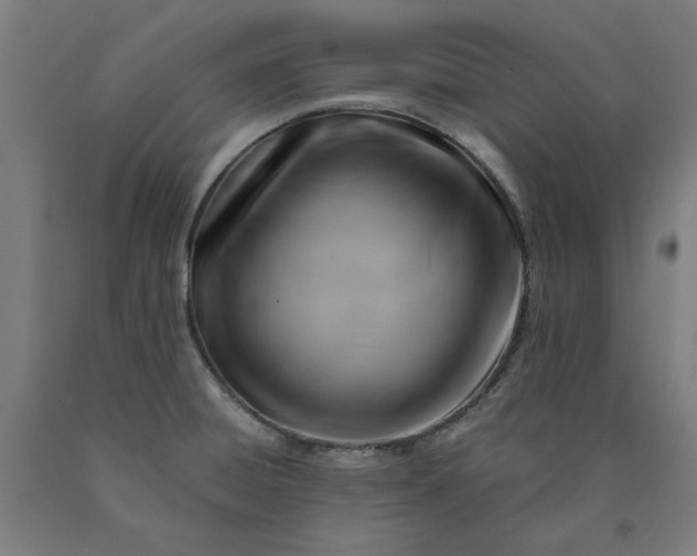 X0000090631428200707311256
