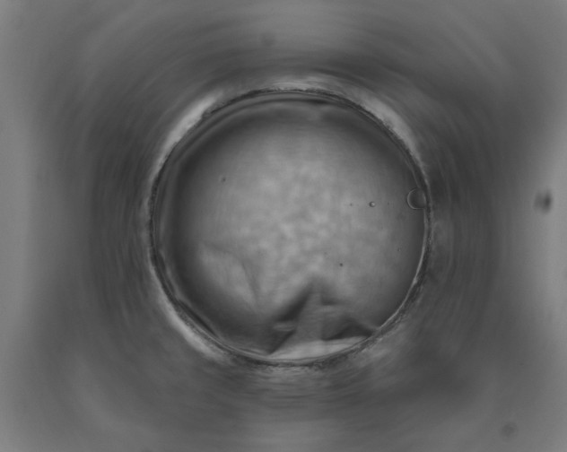 X0000090631429200707311256