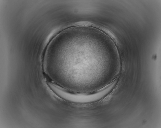 X0000090631430200707311256