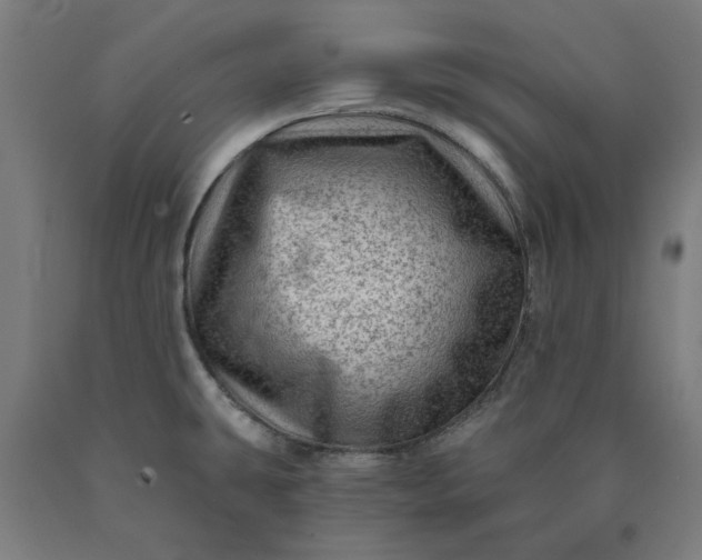 X0000090631431200707311256
