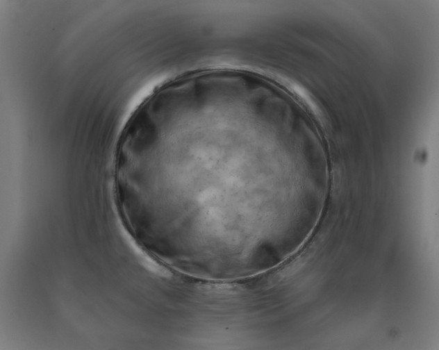 X0000090631432200707311256