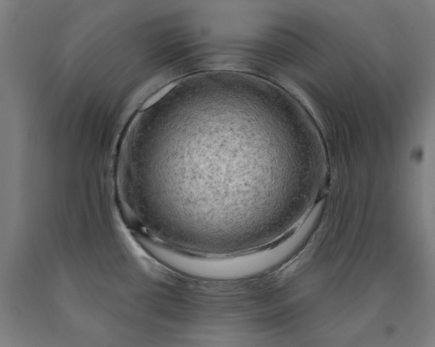 X0000090631434200707311256