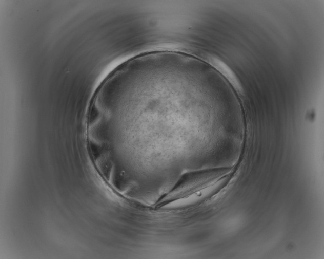 X0000090631436200707311256