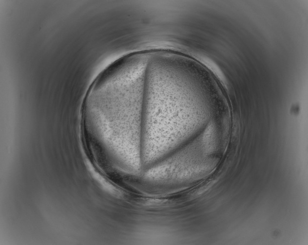 X0000090631439200707311256