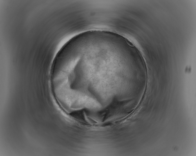 X0000090631440200707311256