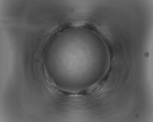 X0000090631441200707311255