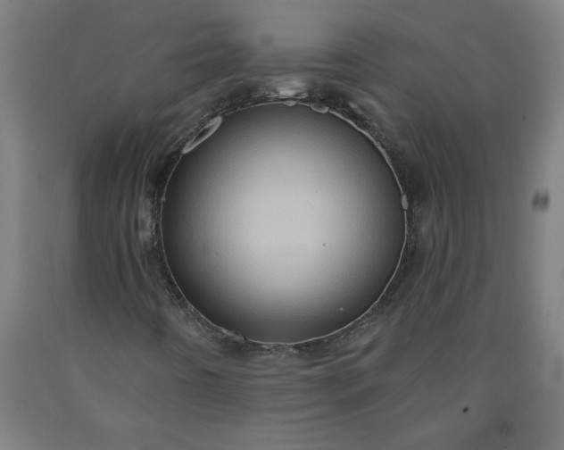 X0000090631442200707311255