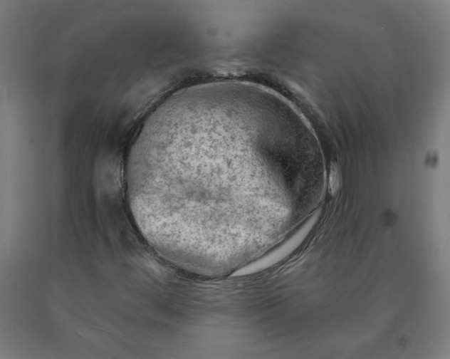 X0000090631444200707311255