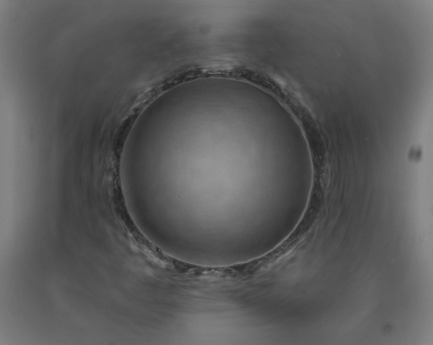 X0000090631445200707311255