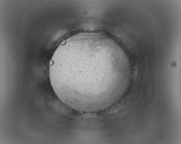 X0000090631446200707311255
