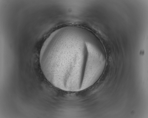X0000090631447200707311255