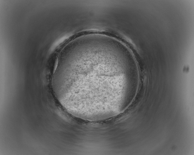 X0000090631448200707311255